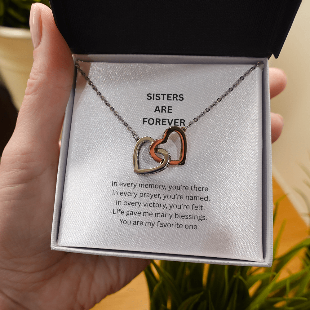 Sister Necklace Gift – Interlocking Heart Pendant for Sister